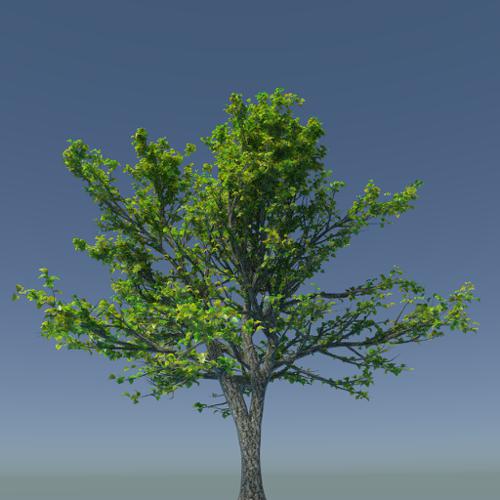 High Poly Tree preview image